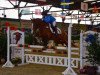 jumper Dancing Dream 14 (German Riding Pony, 2000, from Dancing Fox 2)