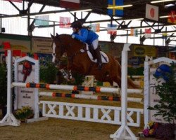 jumper Dancing Dream 14 (German Riding Pony, 2000, from Dancing Fox 2)