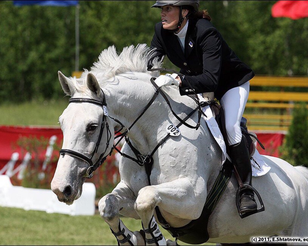 broodmare Cassina (Holsteiner, 2002, from Cassini I)