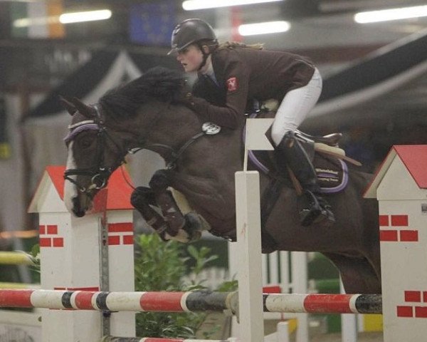 jumper Laika WE (German Riding Pony, 2006, from Dakar Noar)