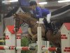 jumper High Dream N (German Riding Pony, 2004, from Highway N)