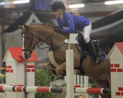 jumper High Dream N (German Riding Pony, 2004, from Highway N)