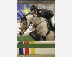 jumper Champion de Lune (German Riding Pony, 2003, from FS Champion de Luxe)