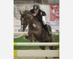 jumper Top Less (German Riding Pony, 2002, from Top King)