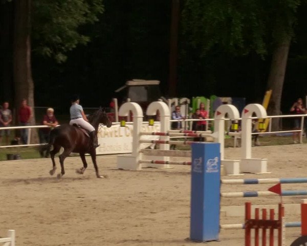 Reitturnier Prussendorf 2020