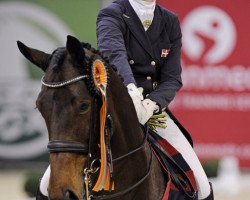 dressage horse Excalibur (Westphalian, 2007, from Ehrentanz I)