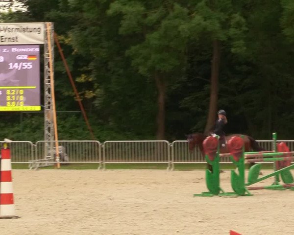 Reitturnier Prussendorf 2020