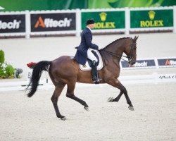 dressage horse Eres Dl (Belgian Warmblood, 2004, from Sir Lui)