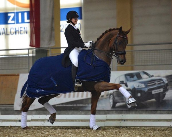 dressage horse Robbespiere (Oldenburg, 2003, from Rohdiamant)