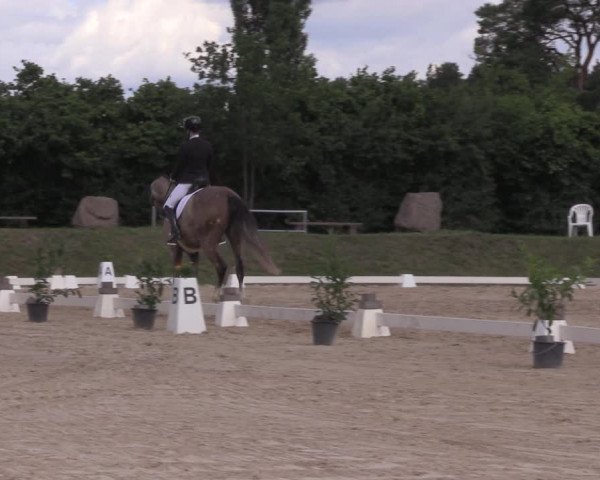 Reitturnier Pietzpuhl 2020