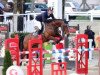 Springpferd Erlinde van de Leeuwerk (Belgisches Warmblut, 2004, von Action-Breaker)