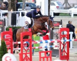 jumper Erlinde van de Leeuwerk (Belgian Warmblood, 2004, from Action-Breaker)