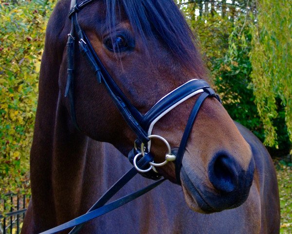 dressage horse Rubina Fleur (Westphalian, 2010, from Rubitano)