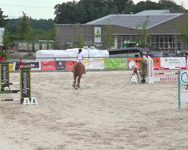 Reitturnier Gossau 2020