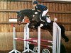 jumper Grithem (Hanoverian, 2010, from Glueckspilz)