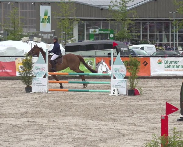 Reitturnier Gossau 2020