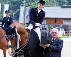 dressage horse Daintree 3 (Hanoverian, 2002, from De Niro)