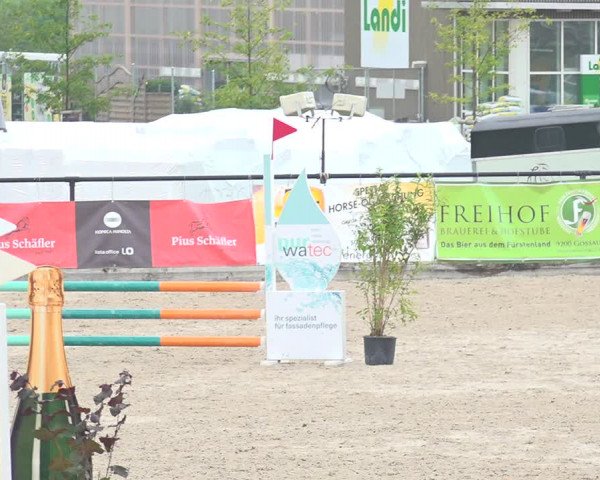 Reitturnier Gossau 2020