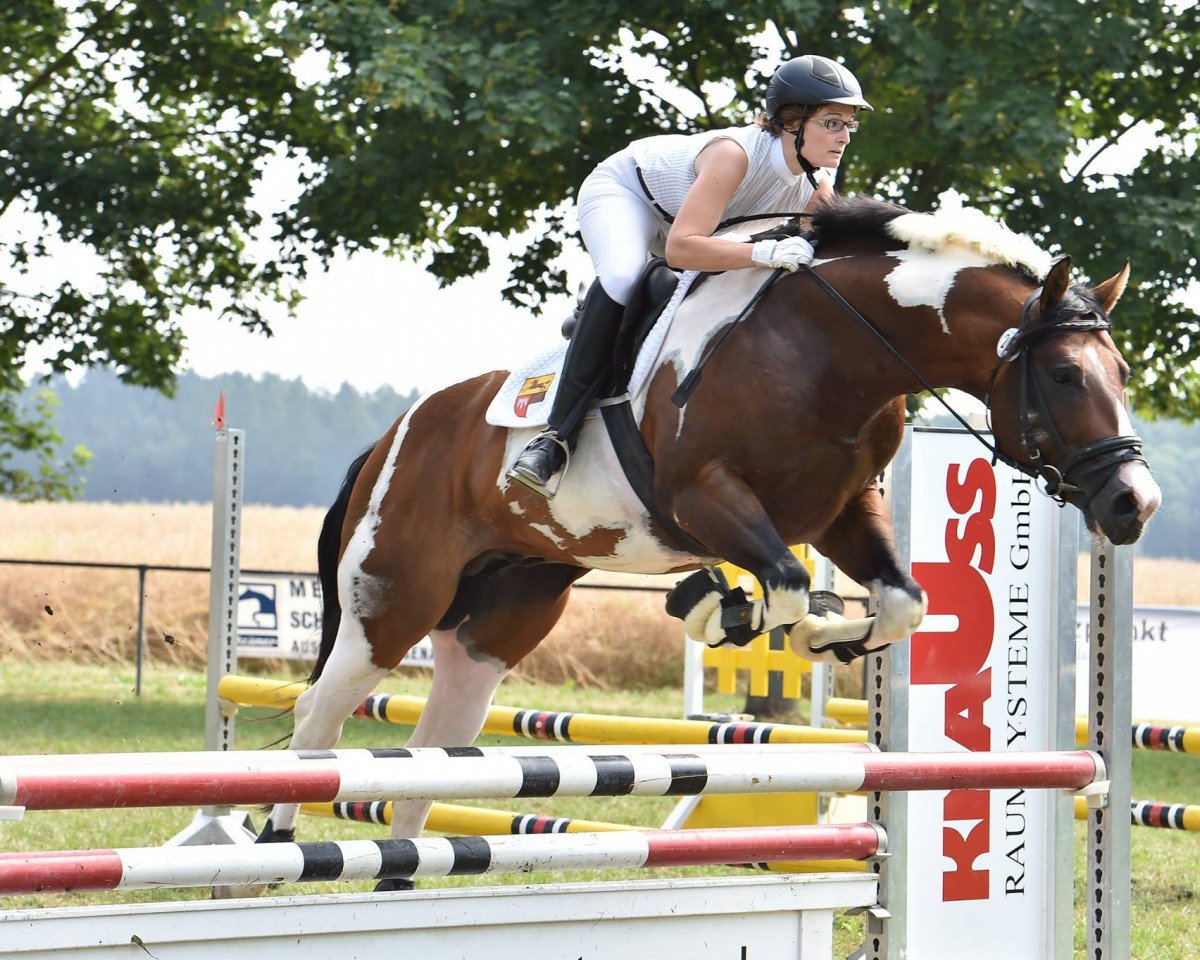 Pferd FSF The Zipmotist (Paint Horse, 2010, von Zipmotize)