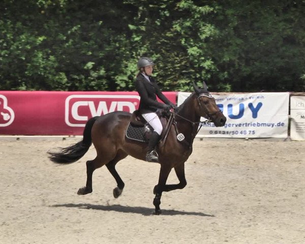 Reitturnier Worms-Pfeddersheim / Reitsportanlage Wittemer 2020