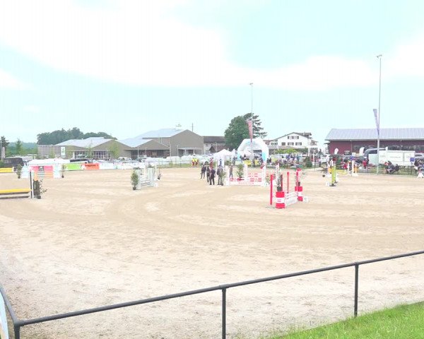 Reitturnier Gossau 2020
