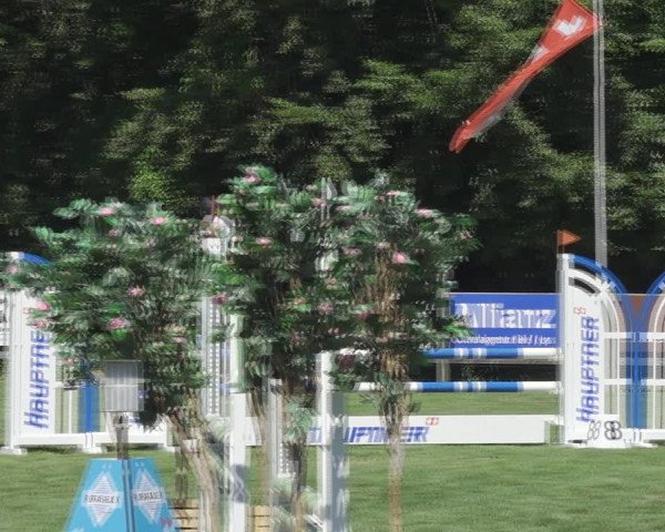 Reitturnier Kappelen-Lyss 2020