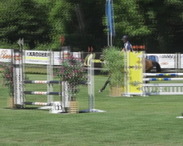 Reitturnier Kappelen-Lyss 2020