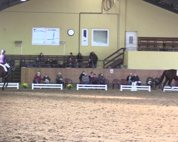 Reitturnier Frechen-Grefrath - Sonnenhof 2021