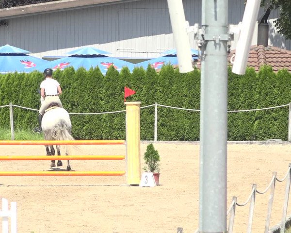 Reitturnier Fehraltorf 2020