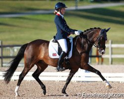 broodmare Valido's Sunshine (German Riding Pony, 2003, from Valido)