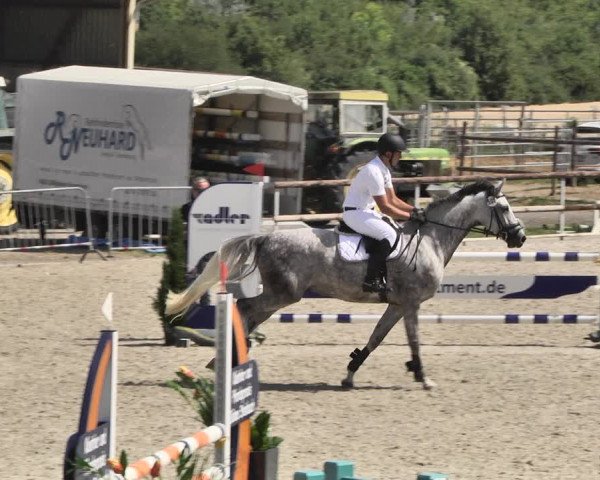 Reitturnier Worms-Pfeddersheim / Reitsportanlage Wittemer 2020