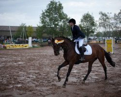 jumper Anastasia (Hessian Warmblood, 2000, from Asterix Bavaria)