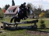 dressage horse Snooker 29 (Oldenburg, 2009, from Sungold 2)