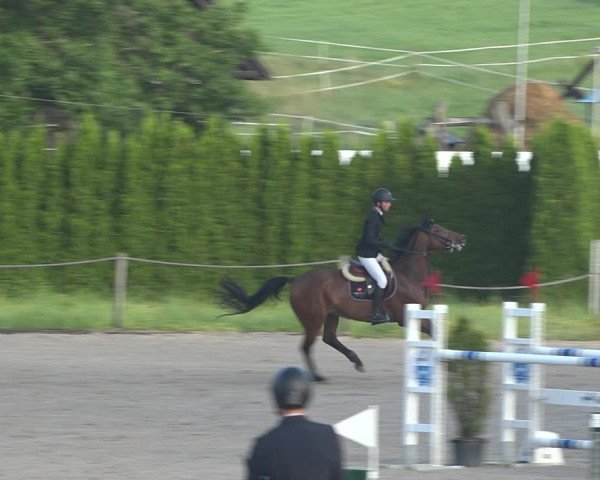 Reitturnier Fehraltorf 2020