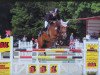 jumper Gilbert 77 (German Warmblood, 2004, from Golliath Life)