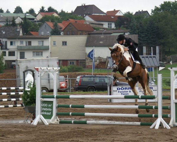 broodmare Blanka 82 (German Warmblood, 2003, from Golliath Life)