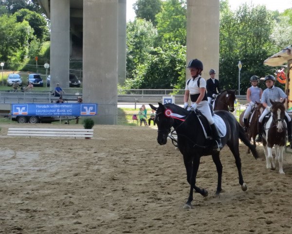 dressage horse Beautiful Missy (German Riding Pony, 2000, from Beautyful Stallion)