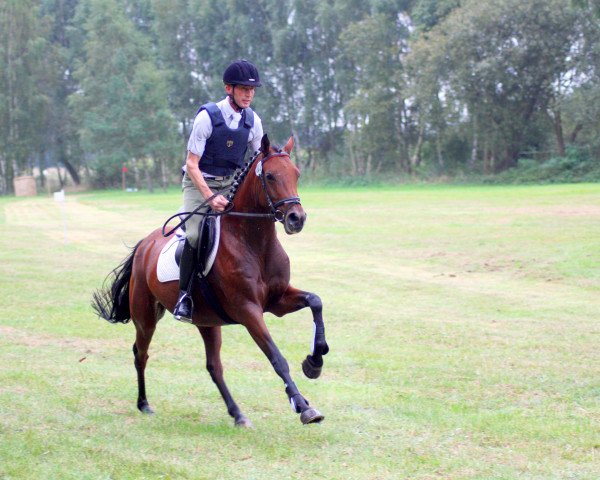broodmare Tombola (German Riding Pony, 2009, from Top Dubidu)
