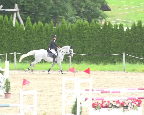 Reitturnier Fehraltorf 2020