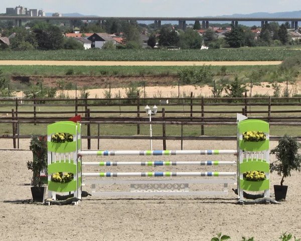 Reitturnier Worms-Pfeddersheim / Reitsportanlage Wittemer 2020