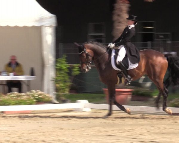 Reitturnier Halver 2020