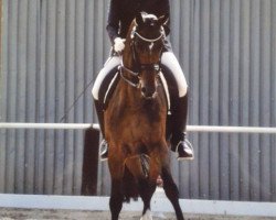 dressage horse Lolita Lempica (Hanoverian, 2005, from Londonderry)