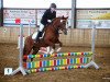 dressage horse Baleika (German Riding Pony, 2006, from Double-Inn (JF))