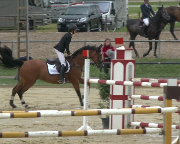 Reitturnier Hamm-Rhynern 2020