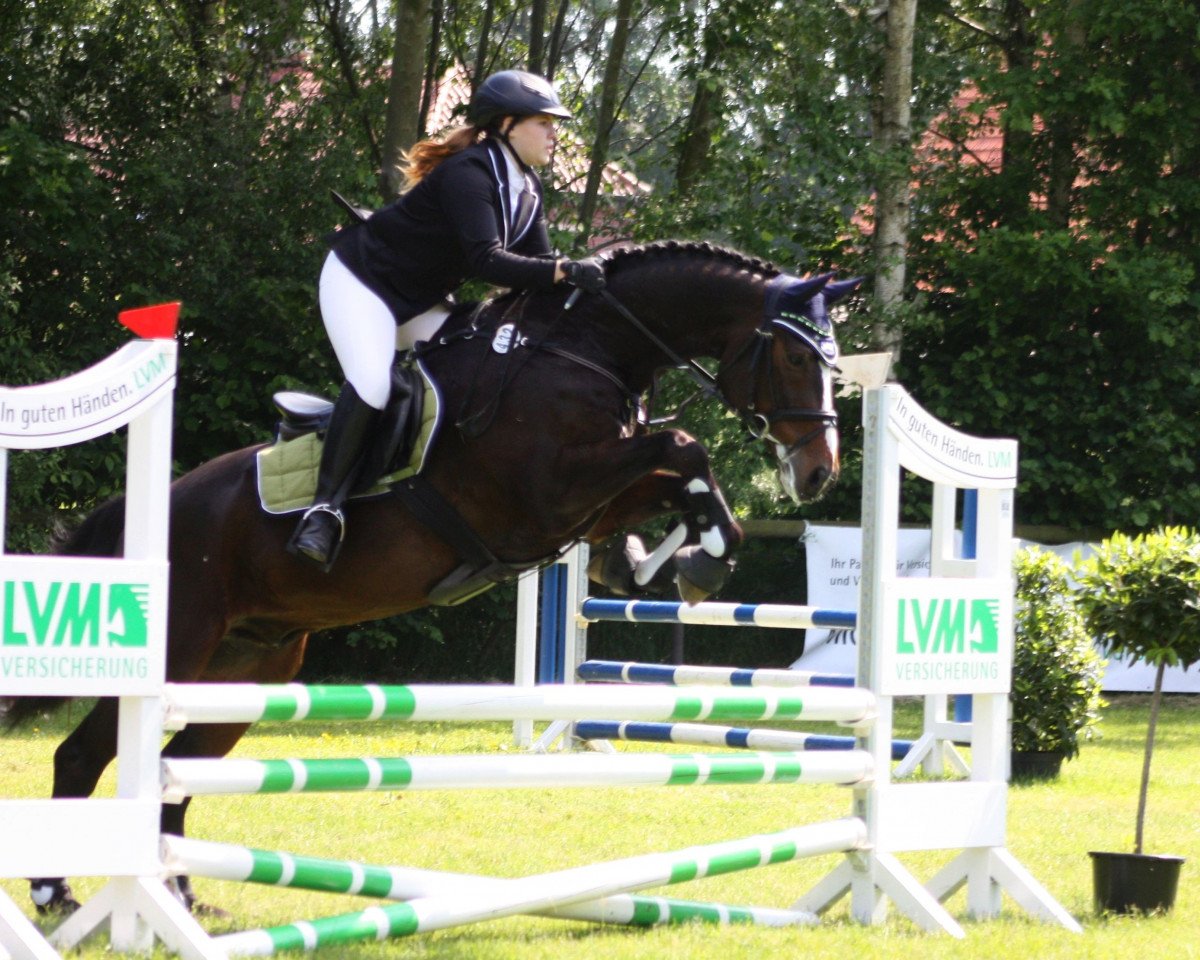 jumper Pallimero (Brandenburg, 1998, from Prinz Pilot)