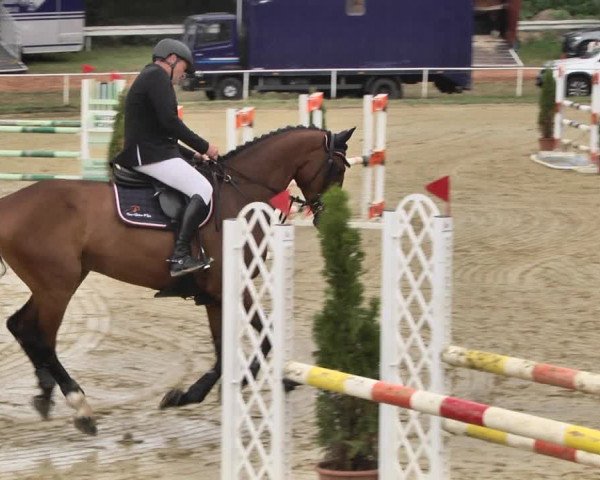 Reitturnier Heiligenwald 2020