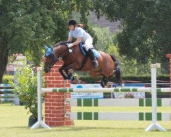 horse Bonito 280 (German Riding Pony, 2000, from Bossanova)