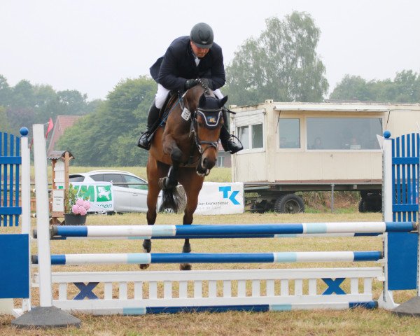 broodmare Penny Ponti Pendi L (Oldenburg show jumper, 2009, from Potential)