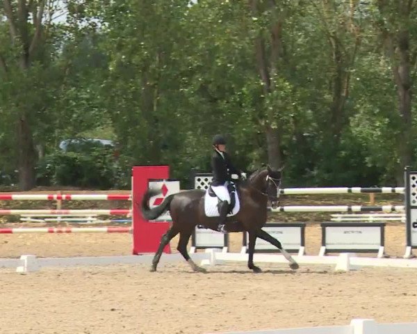 Reitturnier Kleinostheim/Ufr. 2020