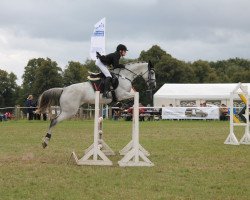 jumper Ordessa 5 (German Sport Horse, 2006, from Carat 99)